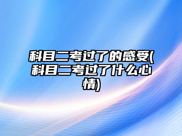 科目二考過了的感受(科目二考過了什么心情)