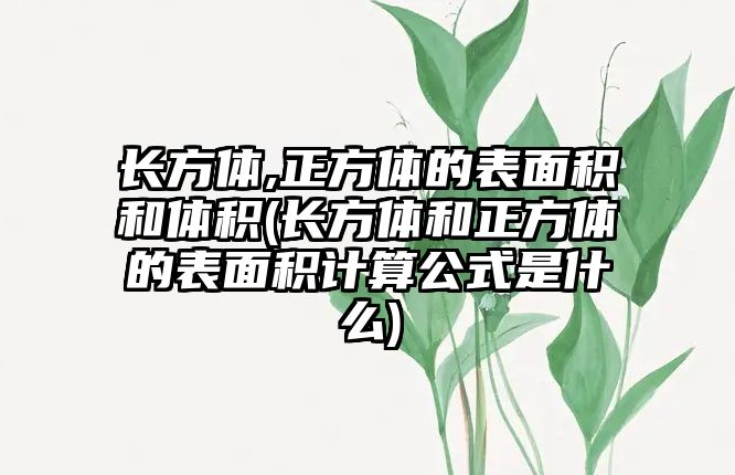 長方體,正方體的表面積和體積(長方體和正方體的表面積計算公式是什么)