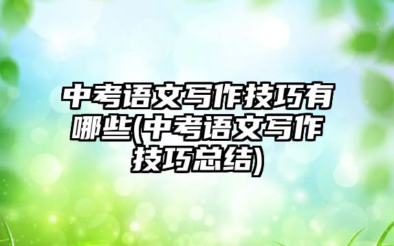 中考語文寫作技巧有哪些(中考語文寫作技巧總結)