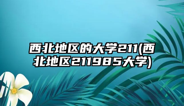 西北地區(qū)的大學211(西北地區(qū)211985大學)