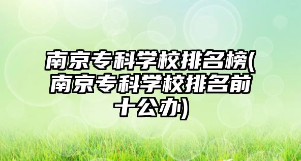 南京專科學(xué)校排名榜(南京?？茖W(xué)校排名前十公辦)