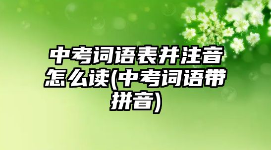 中考詞語(yǔ)表并注音怎么讀(中考詞語(yǔ)帶拼音)