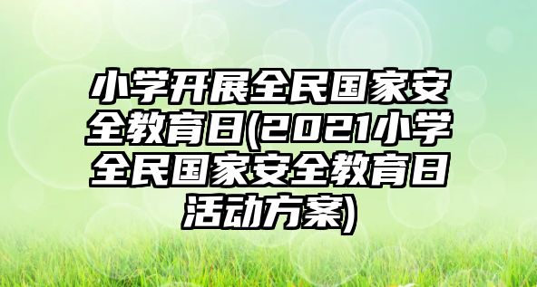 小學(xué)開(kāi)展全民國(guó)家安全教育日(2021小學(xué)全民國(guó)家安全教育日活動(dòng)方案)