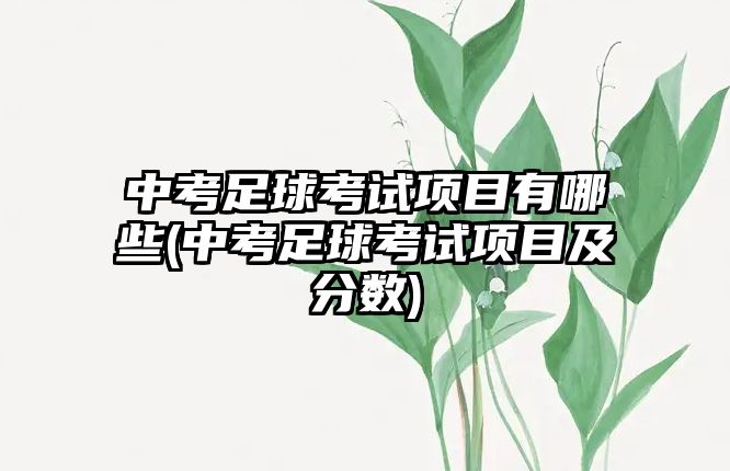 中考足球考試項目有哪些(中考足球考試項目及分?jǐn)?shù))