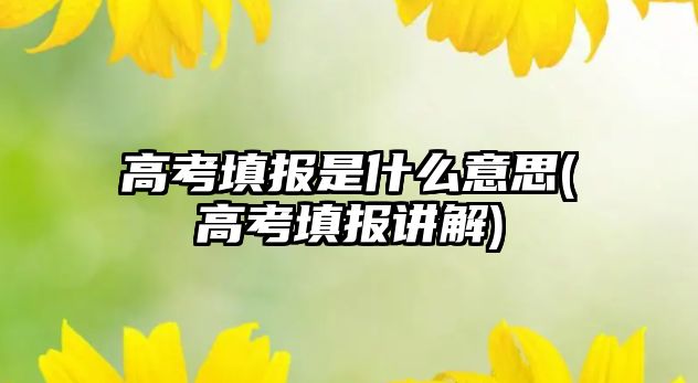 高考填報是什么意思(高考填報講解)