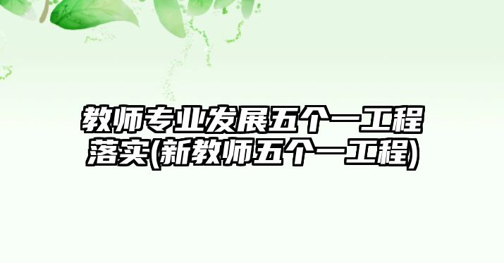 教師專業(yè)發(fā)展五個(gè)一工程落實(shí)(新教師五個(gè)一工程)