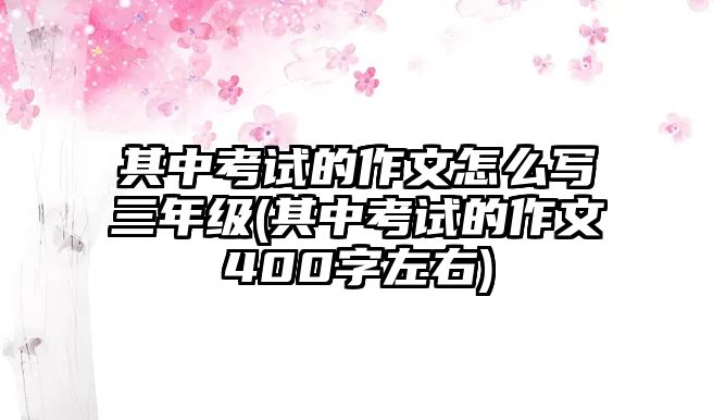 其中考試的作文怎么寫三年級(jí)(其中考試的作文400字左右)