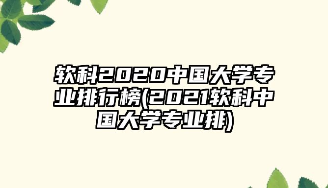 軟科2020中國大學(xué)專業(yè)排行榜(2021軟科中國大學(xué)專業(yè)排)