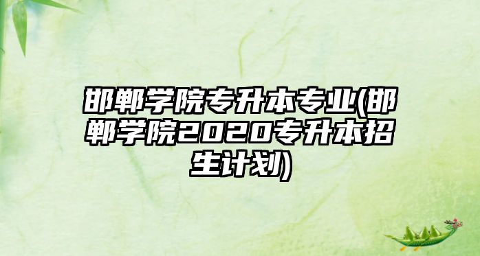 邯鄲學(xué)院專升本專業(yè)(邯鄲學(xué)院2020專升本招生計(jì)劃)