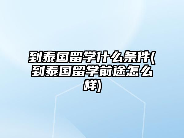 到泰國留學(xué)什么條件(到泰國留學(xué)前途怎么樣)