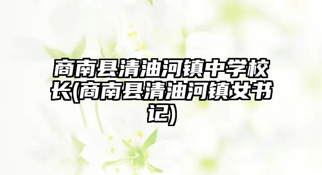 商南縣清油河鎮(zhèn)中學校長(商南縣清油河鎮(zhèn)女書記)