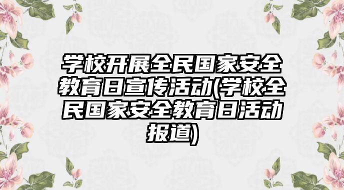 學校開展全民國家安全教育日宣傳活動(學校全民國家安全教育日活動報道)