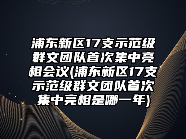 浦東新區(qū)17支示范級群文團(tuán)隊(duì)首次集中亮相會議(浦東新區(qū)17支示范級群文團(tuán)隊(duì)首次集中亮相是哪一年)