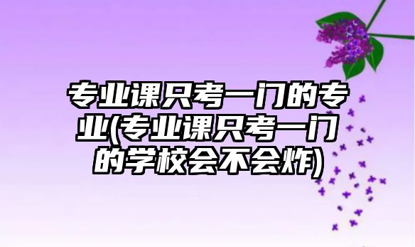 專業(yè)課只考一門的專業(yè)(專業(yè)課只考一門的學(xué)校會(huì)不會(huì)炸)