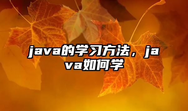 java的學(xué)習(xí)方法，java如何學(xué)