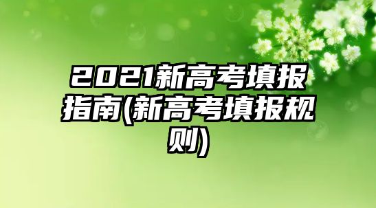 2021新高考填報指南(新高考填報規(guī)則)