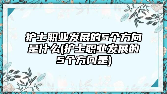 護士職業(yè)發(fā)展的5個方向是什么(護士職業(yè)發(fā)展的5個方向是)