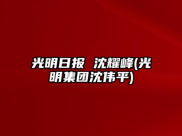 光明日報 沈耀峰(光明集團沈偉平)