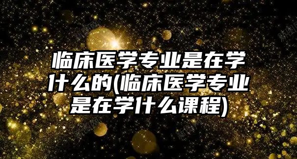 臨床醫(yī)學(xué)專業(yè)是在學(xué)什么的(臨床醫(yī)學(xué)專業(yè)是在學(xué)什么課程)