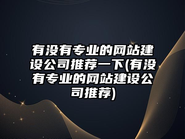 有沒有專業(yè)的網(wǎng)站建設(shè)公司推薦一下(有沒有專業(yè)的網(wǎng)站建設(shè)公司推薦)