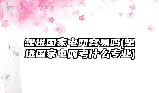 想進(jìn)國(guó)家電網(wǎng)容易嗎(想進(jìn)國(guó)家電網(wǎng)考什么專業(yè))