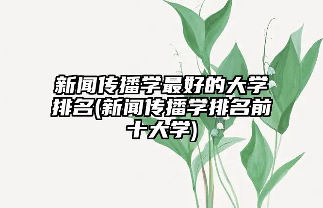 新聞傳播學最好的大學排名(新聞傳播學排名前十大學)