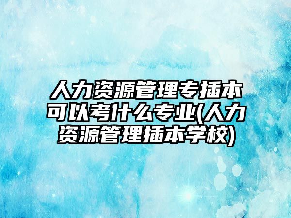 人力資源管理專插本可以考什么專業(yè)(人力資源管理插本學(xué)校)