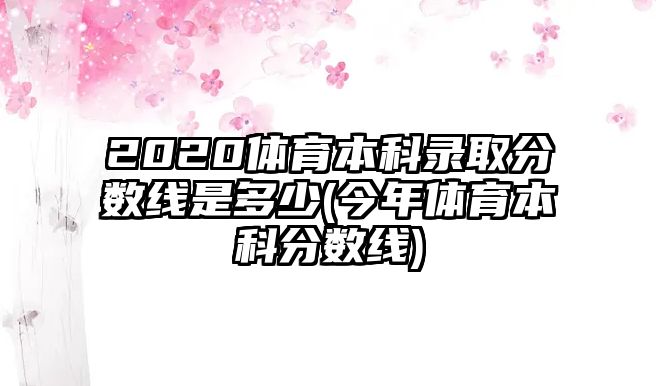 2020體育本科錄取分?jǐn)?shù)線是多少(今年體育本科分?jǐn)?shù)線)