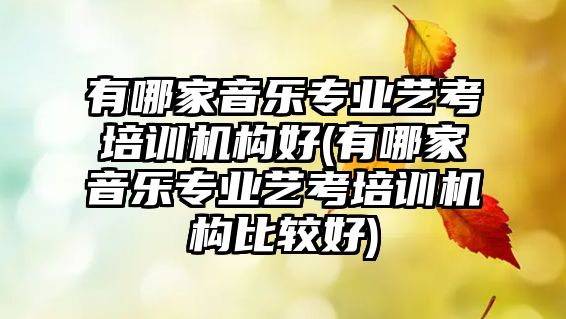 有哪家音樂專業(yè)藝考培訓(xùn)機(jī)構(gòu)好(有哪家音樂專業(yè)藝考培訓(xùn)機(jī)構(gòu)比較好)