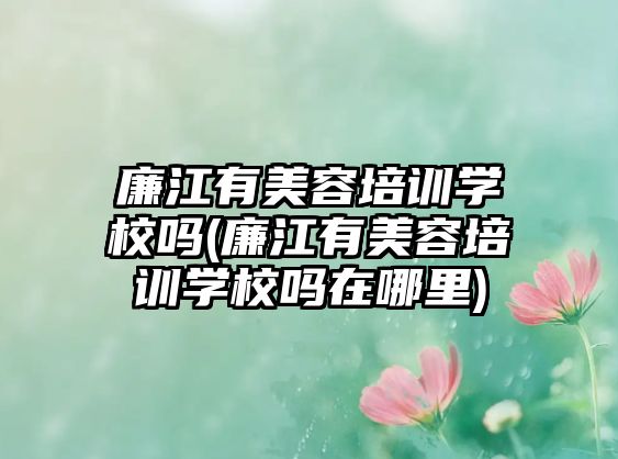 廉江有美容培訓學校嗎(廉江有美容培訓學校嗎在哪里)