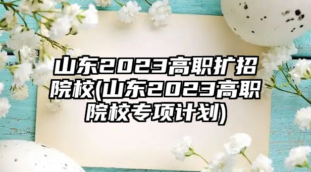 山東2023高職擴招院校(山東2023高職院校專項計劃)