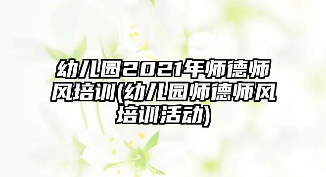 幼兒園2021年師德師風培訓(幼兒園師德師風培訓活動)