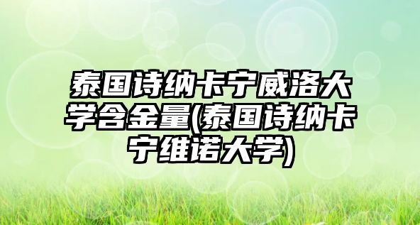 泰國詩納卡寧威洛大學(xué)含金量(泰國詩納卡寧維諾大學(xué))