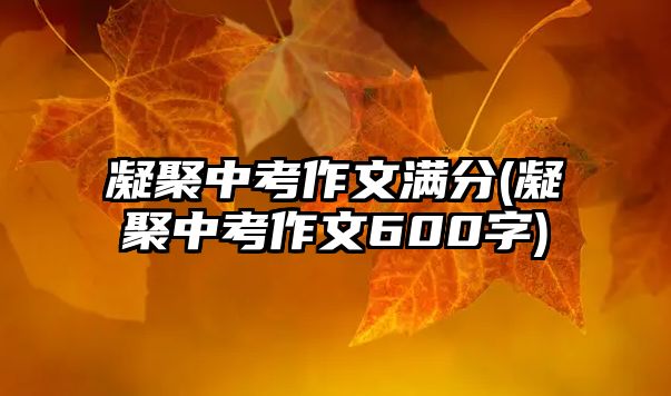 凝聚中考作文滿分(凝聚中考作文600字)