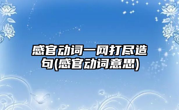 感官動詞一網打盡造句(感官動詞意思)