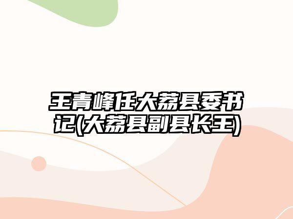 王青峰任大荔縣委書記(大荔縣副縣長王)