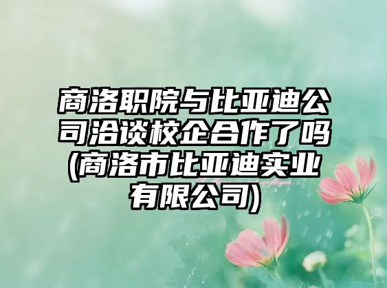 商洛職院與比亞迪公司洽談校企合作了嗎(商洛市比亞迪實(shí)業(yè)有限公司)