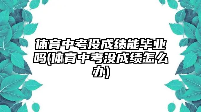 體育中考沒(méi)成績(jī)能畢業(yè)嗎(體育中考沒(méi)成績(jī)?cè)趺崔k)