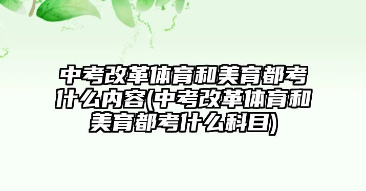 中考改革體育和美育都考什么內(nèi)容(中考改革體育和美育都考什么科目)