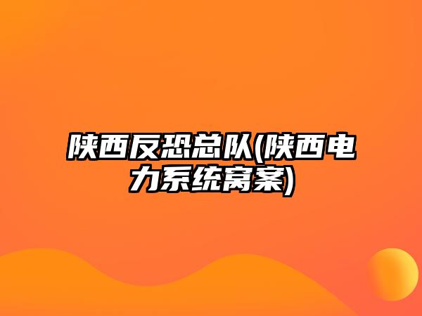 陜西反恐總隊(duì)(陜西電力系統(tǒng)窩案)