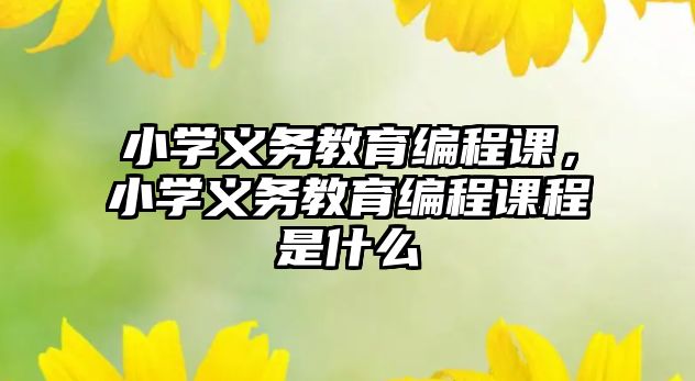 小學(xué)義務(wù)教育編程課，小學(xué)義務(wù)教育編程課程是什么