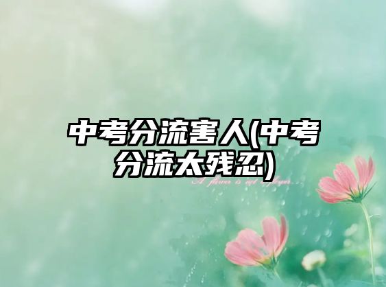 中考分流害人(中考分流太殘忍)