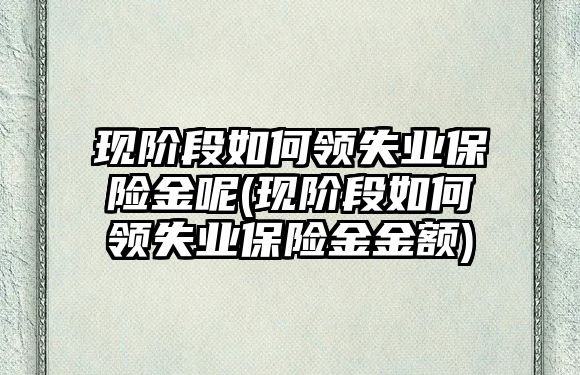 現(xiàn)階段如何領(lǐng)失業(yè)保險(xiǎn)金呢(現(xiàn)階段如何領(lǐng)失業(yè)保險(xiǎn)金金額)