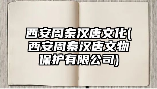 西安周秦漢唐文化(西安周秦漢唐文物保護(hù)有限公司)