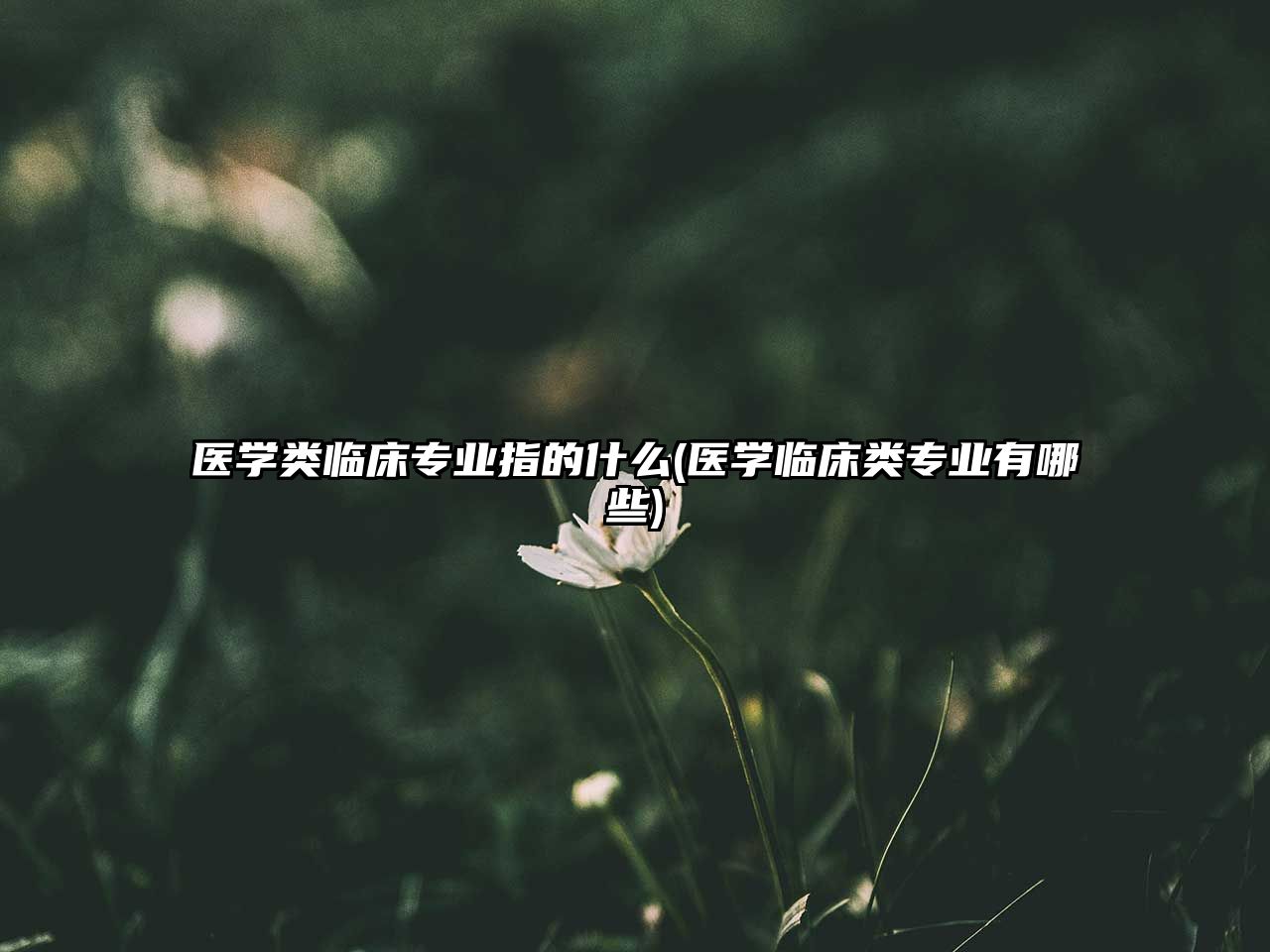 醫(yī)學(xué)類臨床專業(yè)指的什么(醫(yī)學(xué)臨床類專業(yè)有哪些)