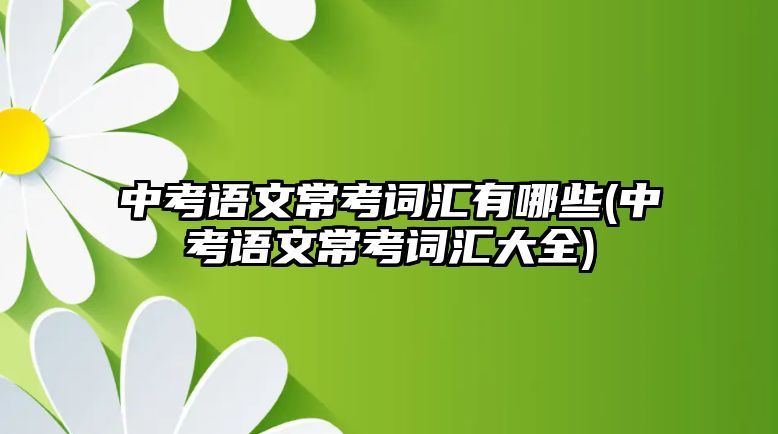 中考語文?？荚~匯有哪些(中考語文常考詞匯大全)