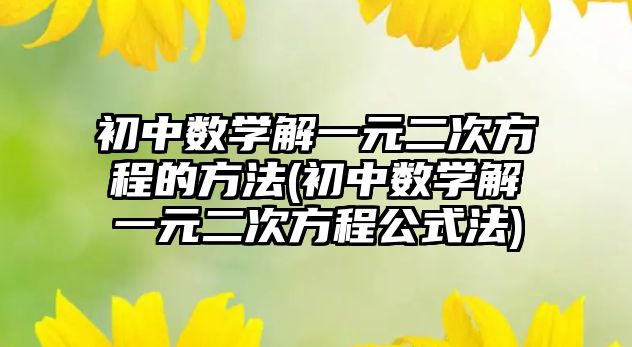 初中數(shù)學(xué)解一元二次方程的方法(初中數(shù)學(xué)解一元二次方程公式法)