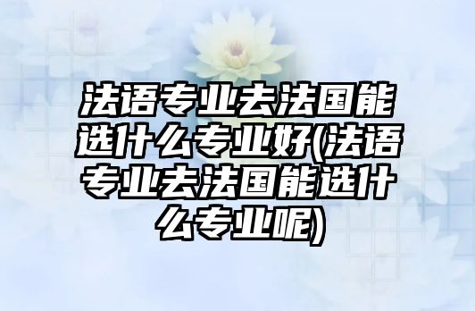 法語專業(yè)去法國能選什么專業(yè)好(法語專業(yè)去法國能選什么專業(yè)呢)