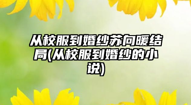 從校服到婚紗蘇向暖結(jié)局(從校服到婚紗的小說)