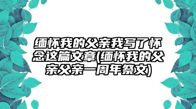 緬懷我的父親我寫了懷念這篇文章(緬懷我的父親父親一周年祭文)